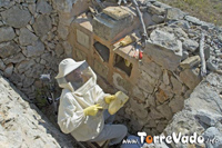 Apicoltura Arnia Tradizionale