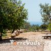 Antica Masseria Ficazzana (foto 71) - Salento